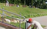 изображение_viber_2025-08-01_14-08-27-897-min