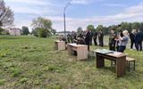 изображение_viber_2026-05-13_10-28-08-398